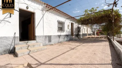 Rustic finca on Calle Bo Collados Los photo 19