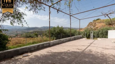 Rustic finca on Calle Bo Collados Los photo 20