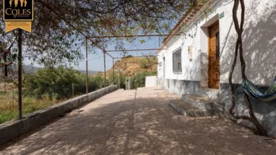 Rustic finca on Calle Bo Collados Los photo 21