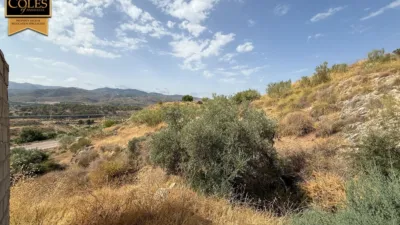 Rustic finca on Calle Bo Collados Los photo 24