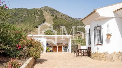 Rustic Finca in Alcaucín photo 23