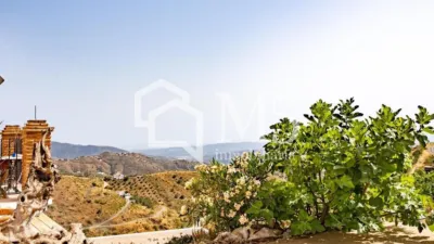 Rustic Finca in Alcaucín photo 25