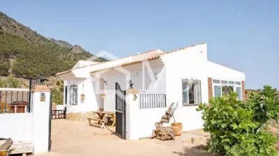 Rustic Finca in Alcaucín photo 2