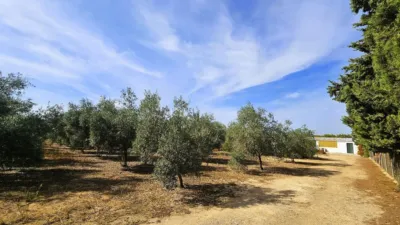 Chalet in Abrajanejo photo 28