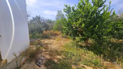 Chalet in Abrajanejo photo 33