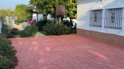 Chalet on Calle C del Quejigo 2 photo 25