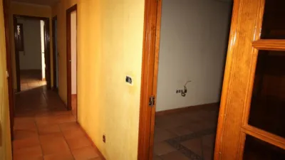 Apartment in Orihuela Ciudad photo 12