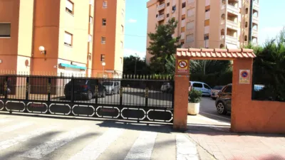 Apartment in Orihuela Ciudad photo 43