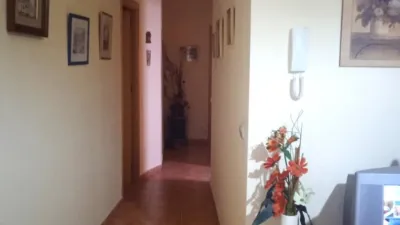 Apartment in Andalusia photo 13
