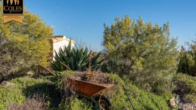 Chalet on Calle Paraje los Pedregales photo 6