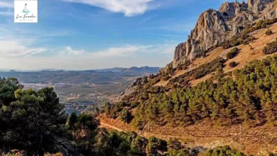 Rustic Finca in Villanueva del Trabuco photo 8