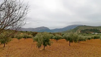 Rustic Finca in Villanueva del Trabuco photo 50