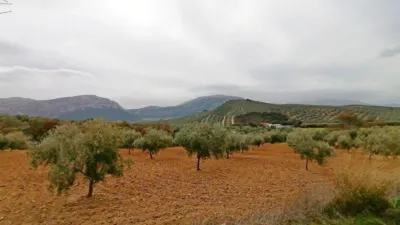 Rustic Finca in Villanueva del Trabuco photo 51