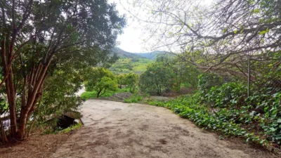 Rustic Finca in Carratraca photo 41