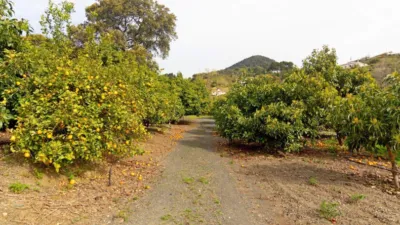 Rustic Finca in Carratraca photo 43
