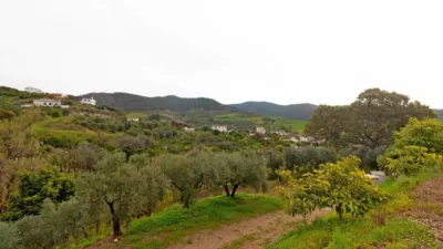 Rustic Finca in Carratraca photo 46