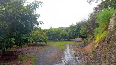 Rustic Finca in Carratraca photo 47