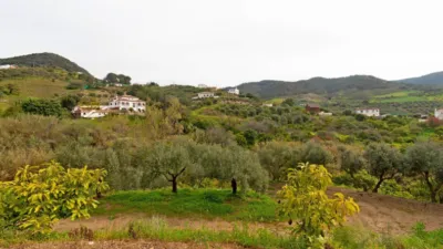 Rustic Finca in Carratraca photo 48