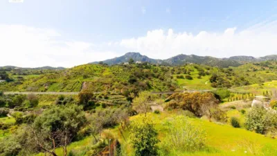 Rustic Finca in Carratraca photo 53