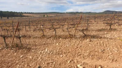 Rustic Finca on Avinguda de Vilafranca del Penedès photo 11