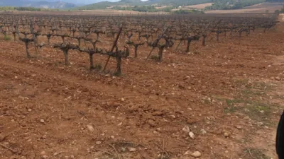Rustic Finca on Avinguda de Vilafranca del Penedès photo 12
