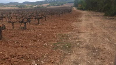 Rustic Finca on Avinguda de Vilafranca del Penedès photo 13
