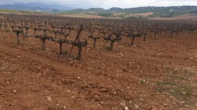 Rustic Finca on Avinguda de Vilafranca del Penedès photo 14