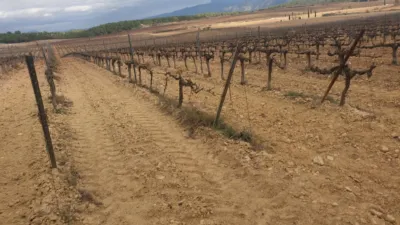 Rustic Finca on Avinguda de Vilafranca del Penedès photo 15