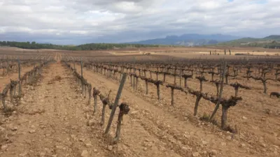 Rustic Finca on Avinguda de Vilafranca del Penedès photo 16