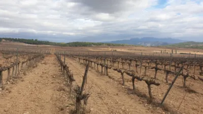 Rustic Finca on Avinguda de Vilafranca del Penedès photo 17