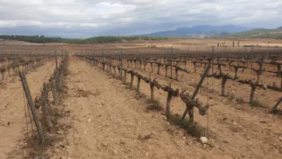 Rustic Finca on Avinguda de Vilafranca del Penedès photo 18