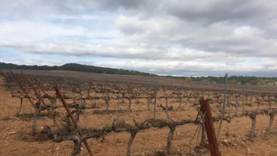Rustic Finca on Avinguda de Vilafranca del Penedès photo 20