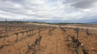 Rustic Finca on Avinguda de Vilafranca del Penedès photo 21