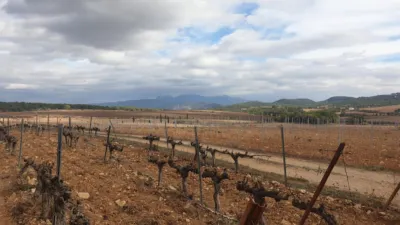Rustic Finca on Avinguda de Vilafranca del Penedès photo 22