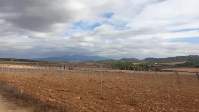Rustic Finca on Avinguda de Vilafranca del Penedès photo 23