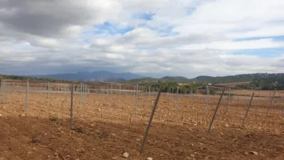 Rustic Finca on Avinguda de Vilafranca del Penedès photo 24