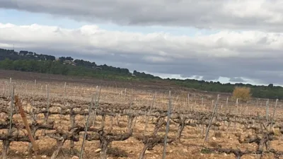Rustic Finca on Avinguda de Vilafranca del Penedès photo 26