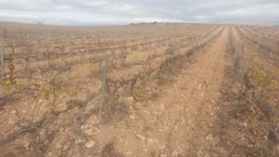 Rustic Finca on Avinguda de Vilafranca del Penedès photo 9
