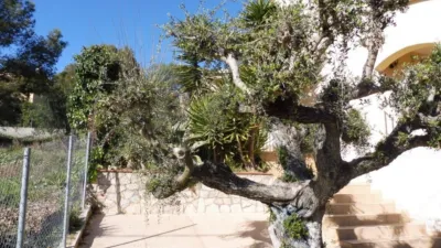 Casa en Carrer del Sol photo 11