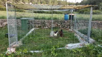 Rustic Finca on Calle Cal Luna photo 27