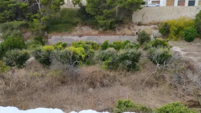 Terreno en venta en Palau Cuesta Narices - Vista 4