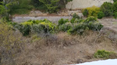 Terreno en venta en Palau Cuesta Narices - Más