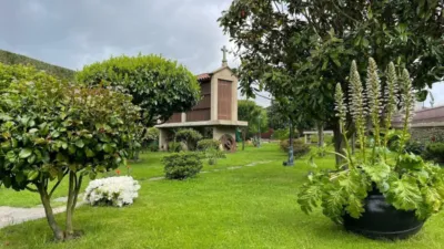 Rustic Finca in Lugar de Rua photo 87