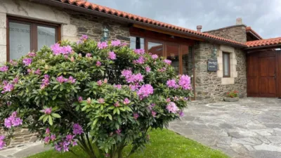 Rustic Finca in Lugar de Rua photo 88