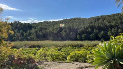 House in Callosa photo 17