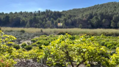 House in Callosa photo 18