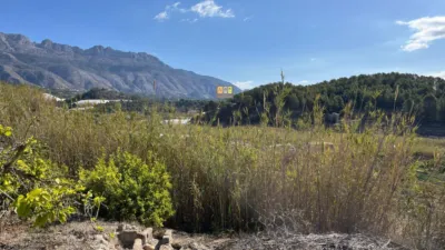 House in Callosa photo 19