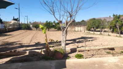 House in Nuevos Juzgados photo 18