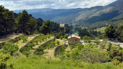 Rustic finca in the Valencian Community photo 2
