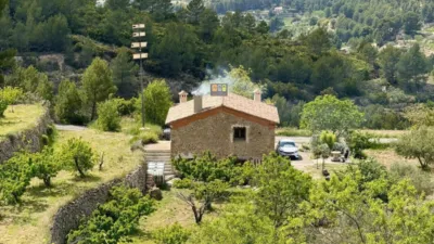 Rustic finca in the Valencian Community photo 3